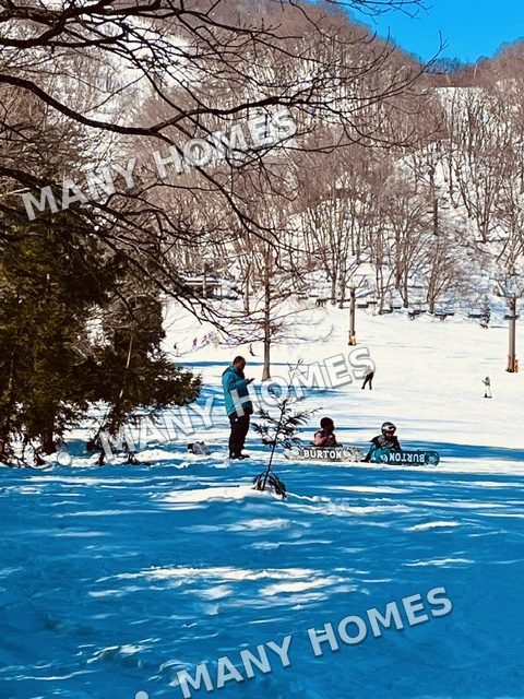 A quiet winter scene in soft light.